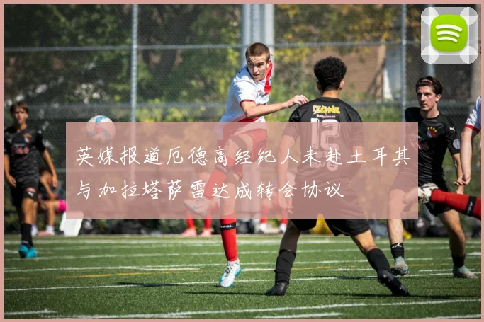 英媒报道厄德高经纪人未赴土耳其与加拉塔萨雷达成转会协议